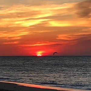 Meet your Posher, Gianna